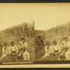 Southern blessedness, eating sugar cane. [Group of boys eating sugar cane in the field.]