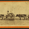 Uncle Red. [Man in an oxcart.]