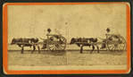 Uncle Red. [Man in an oxcart.]