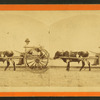Uncle Lem. [Man in an oxcart.]