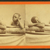 Cherubs.