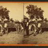 Transporting cotton in an oxcart.]