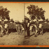 Transporting cotton in an oxcart.