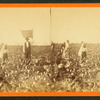 Picking cotton.