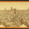 Plantation Scene. Picking cotton. [Woman resting in the field.]