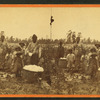 Picking cotton.