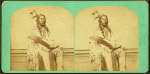 Pawnee Chief.