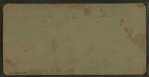 The Chief of the Snake River Indians.