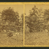 View of breast-works on Round Top, Gettysburg.