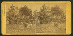 View of breast-works on Round Top, Gettysburg.