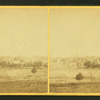 View of Culpepper.