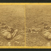 He sleeps his last sleep. A Conferederate soldier who after being wounded evidently dragged himself to a little ravine on the hill side, where he died.