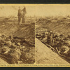 The dead in a ditch at Antietam.