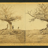 A lone grave on battle-field of Antietam.