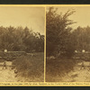 Children standing on a log bridge over a ditch.
