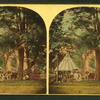 Buena Vista, 1860.