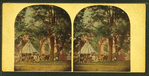 Buena Vista, 1860.