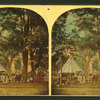 Buena Vista, 1860.