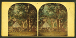 Buena Vista, 1860.