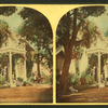 Residence, Buena Vista.