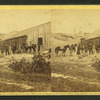 View of soldiers with horses.