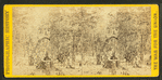 Woods on the left wing, Battle of Gettysburgh.