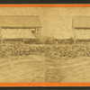 Hide and fat depot, for the government, Ceder Level, Va.