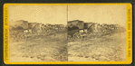 Park of army wagons, City Point, Va.