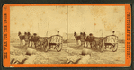 Army wagon going to commissary depot, City Point, for supplies.