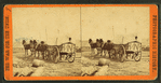 Army wagon going to commissary depot, City Point, for supplies.