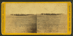 Exchanged Rebel prisoners going to Coxe's Landing, under guard.