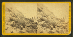 The sea face of Fort Sumpter [sic], east side, Charleston Harbor, S. C., looking n. e..