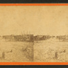 Gen. Sherman's wagon train, near Savannah, Ga.