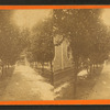 Orange grove in Judge Burdett's garden, Jacksonville, Fla.