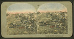 So we made a thoroughfare for freedom and her train." [View of dead soldiers beside a fence. Hand-colored view.]