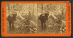 Pickets cooking their rations. Reserve picket fort near Fredericksburg, December 9, 1862.