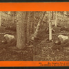 The Slaughter Pen at Gettysburg.
