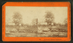 In Trossel's barnyard, Gettysburg [showing dead animals].