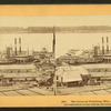 The levee at Vicksburg, Miss., February, 1864.