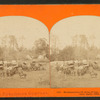 Headquarters 3rd Army Corps (Capt. Bates' quarters), April, 1864.