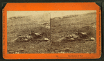 The horrors of war. [Dead Union soldier at Gettysburg.]