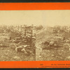 On the Antietam battlefield. [View of dead soldiers beside the fence on the west side of Hagerstown Road.]