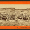 Collecting remains of the [Union] dead.