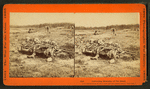 Collecting remains of the [Union] dead.