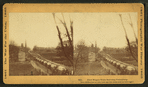 First wagon train entering Petersburg.