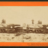 English Armstrong gun in Fort Fisher, N.C.