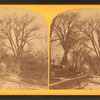 Washington Street.