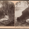 Autumn beauties along Niagara's precipitous banks, looking up toward the falls, U.S.A.