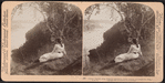 Autumn beauties along Niagara's precipitous banks, looking up toward the falls, U.S.A.