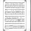 The Yankee Doodle boy